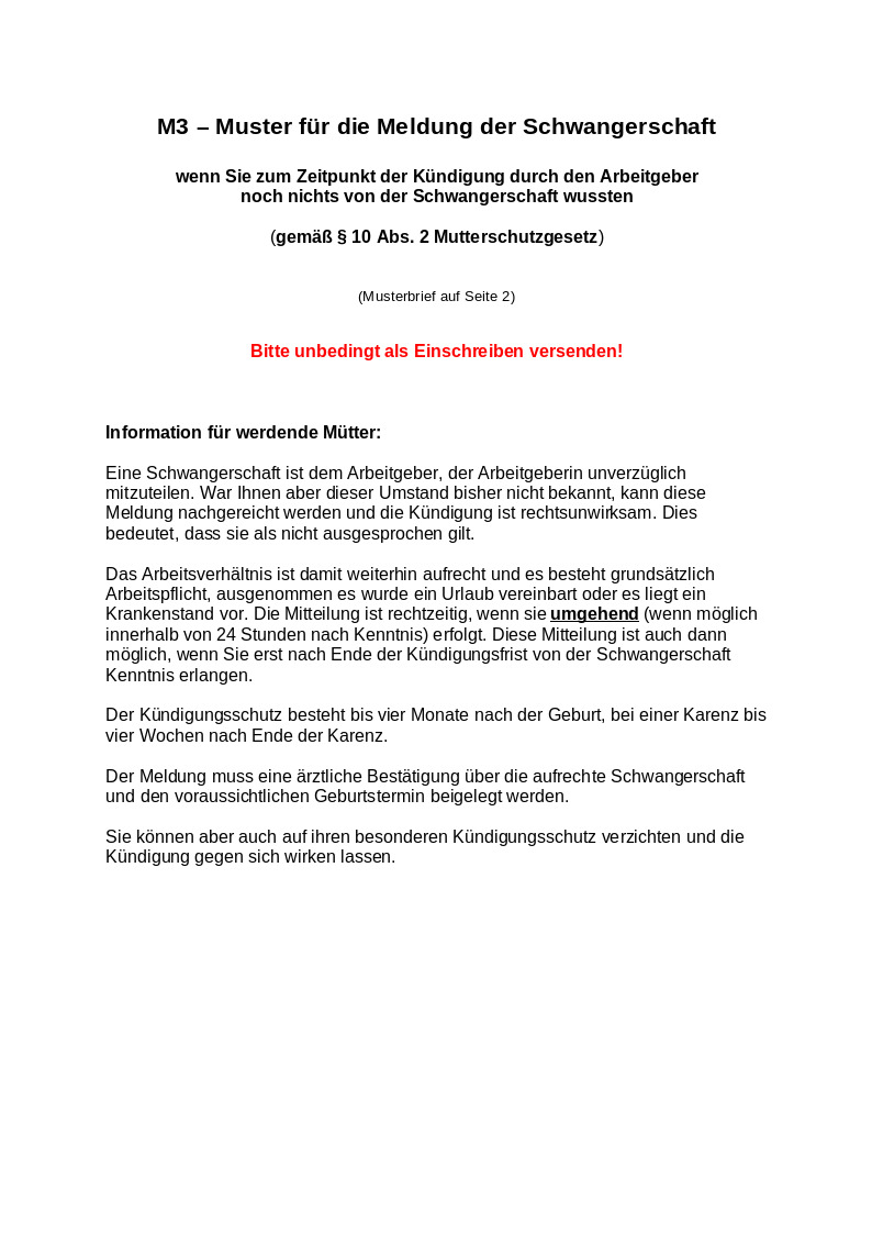 M 3 - Muster für die Meldung der Schwangerschaft